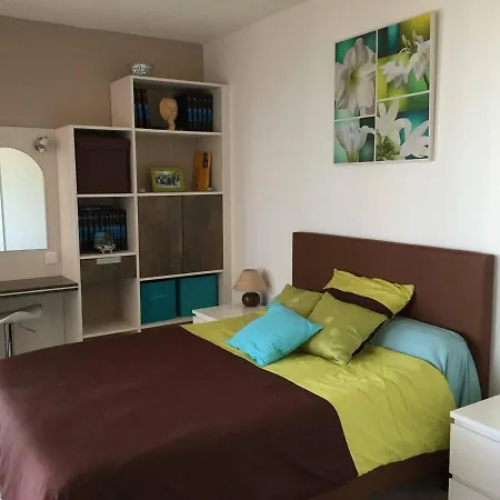 T3 Avec Terrasse, Barbecue Et Parking - 300m Des Commerces, Devant - Fr-1-81-498 Lejlighed *